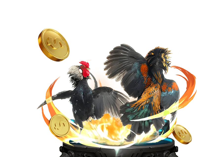 Giới thiệu đá gà trực tuyến b52 mobi